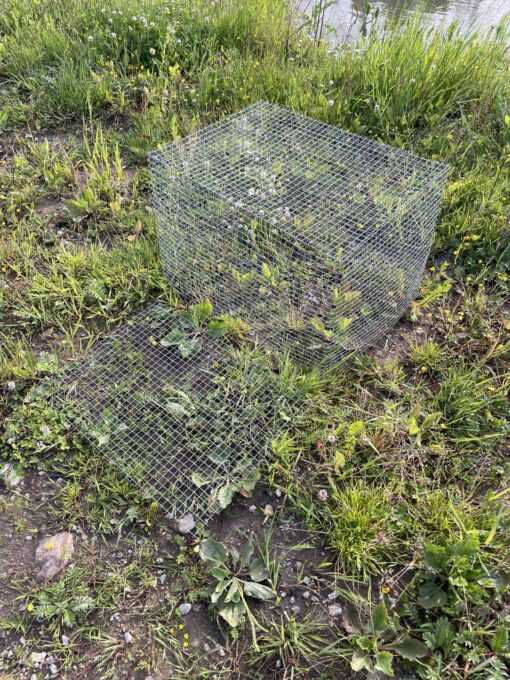 Nugise/lindude kaitseks võrk 8 raamisele korpustarule talveks, kasutatud.